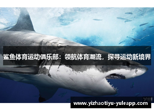鲨鱼体育运动俱乐部：领航体育潮流，探寻运动新境界